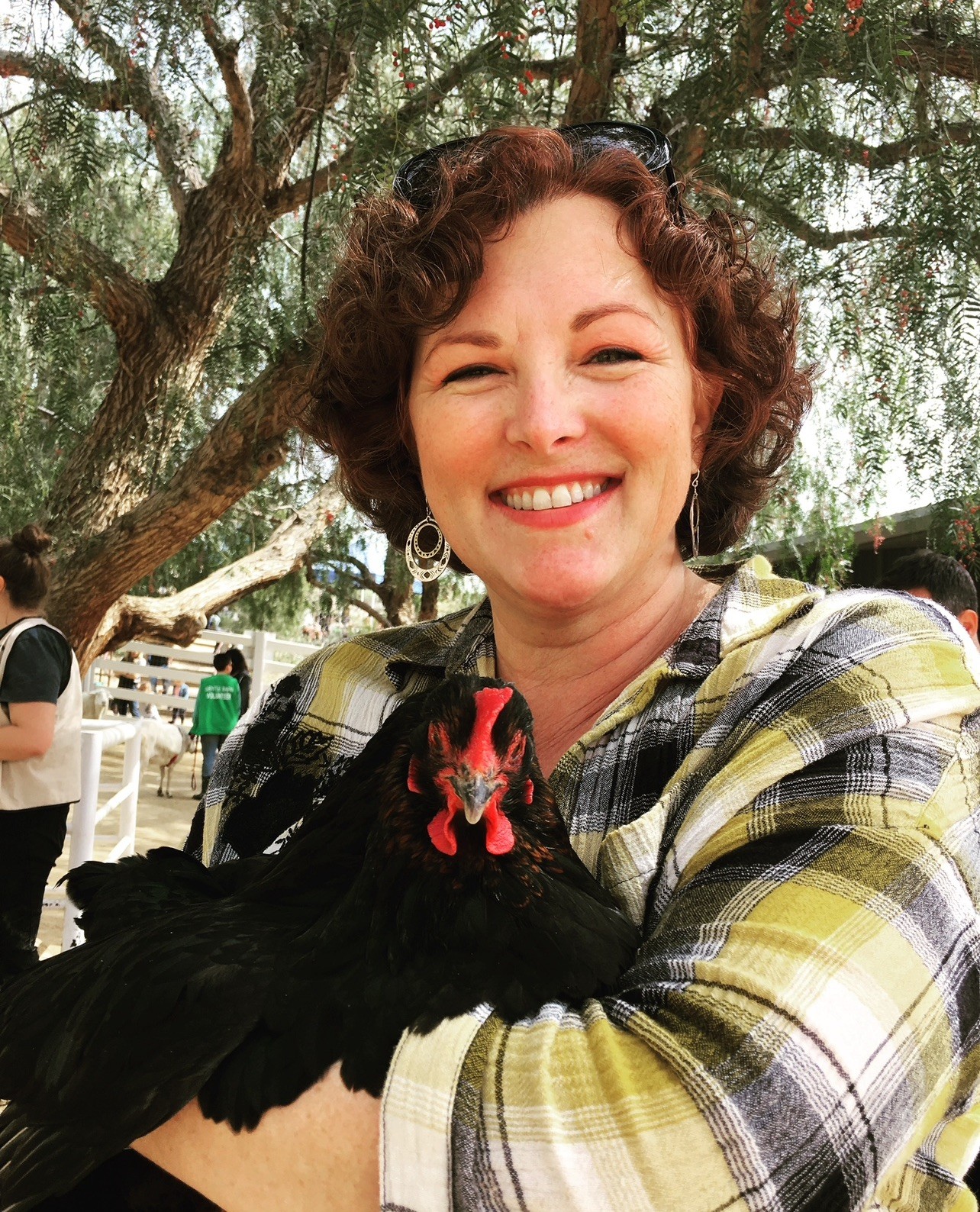 Ferrell with Chicken